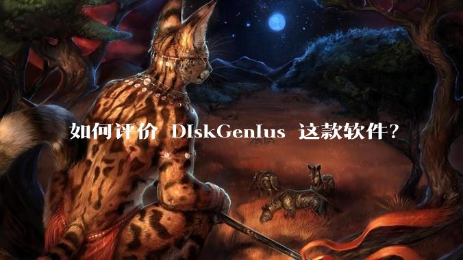 如何评价 DiskGenius 这款软件？