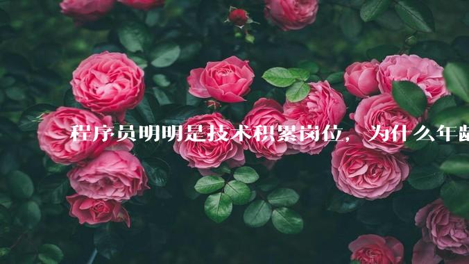 程序员明明是技术积累岗位，为什么年龄越大反而可替代性变高了？