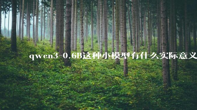 qwen3-0.6B这种小模型有什么实际意义和用途吗？