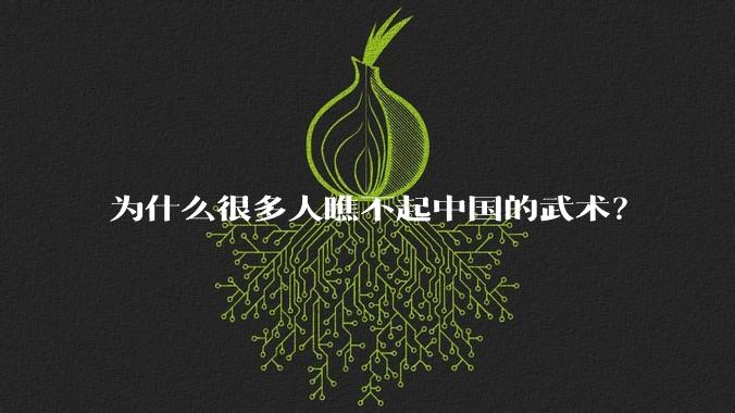 为什么很多人瞧不起中国的武术？