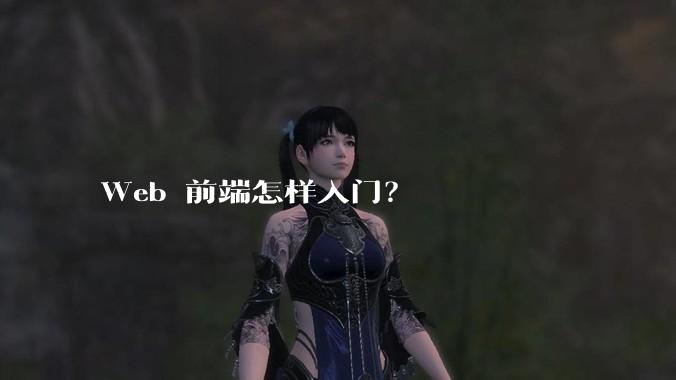 Web 前端怎样入门？