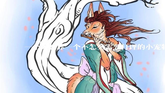 一个人想养一个不怎么需要打理的小宠物，有什么推荐的？