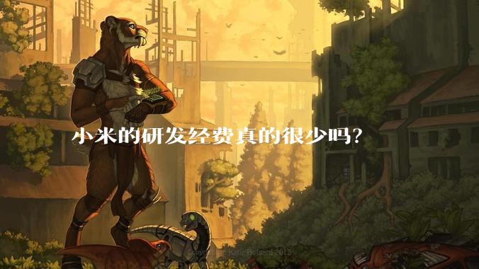 小米的研发经费真的很少吗？