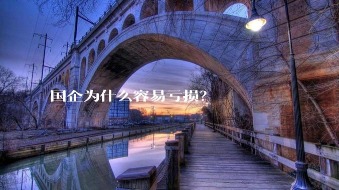 国企为什么容易亏损？