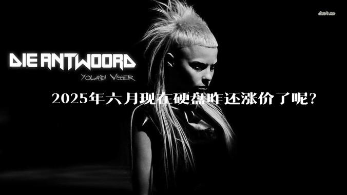 2025年六月现在硬盘咋还涨价了呢？