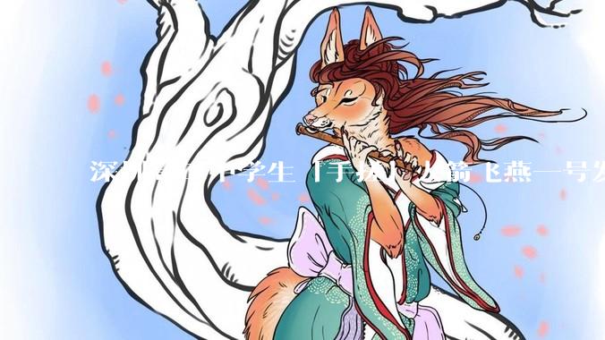 深圳高二中学生「手搓」火箭飞燕一号发射成功，突破 10KM 海拔高度，这属于什么水平？手搓火箭有多难？