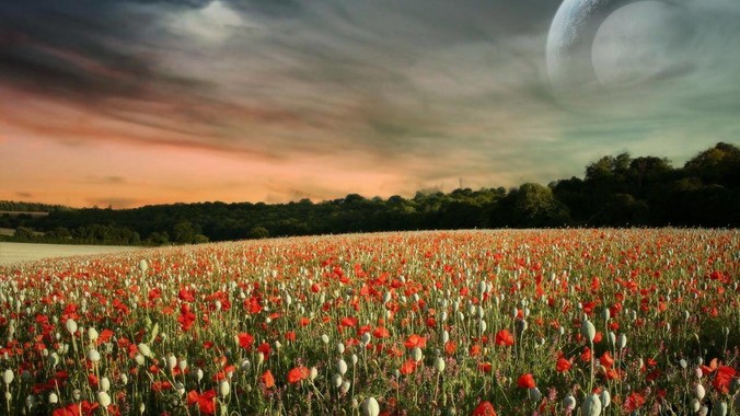 DeepSeek R1-0528 发布! 你觉得新R1 手感如何?哪些点得到了提升?